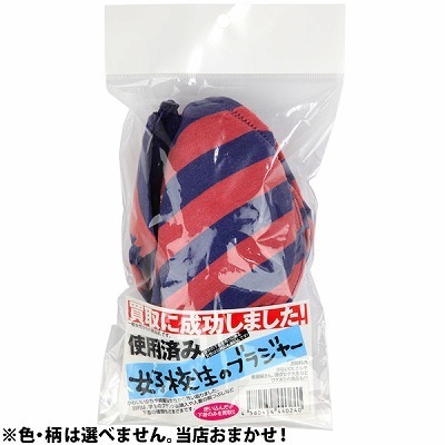 ����ɐ������܂����I���q�Z���̃u���W���[