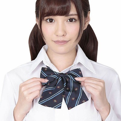 �������X�N�[�����{���@��̓u���[�X�g���C�v