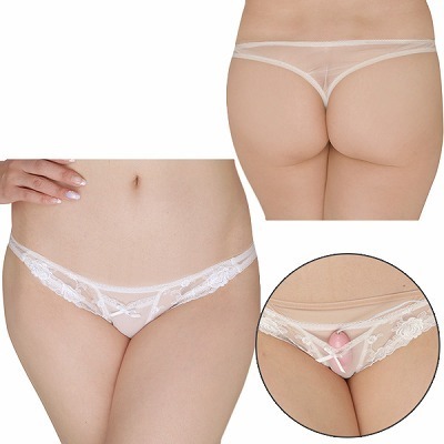 �t�����[���[�X���V�[�X���[���n�|�P�b�g�t���s�o�b�N