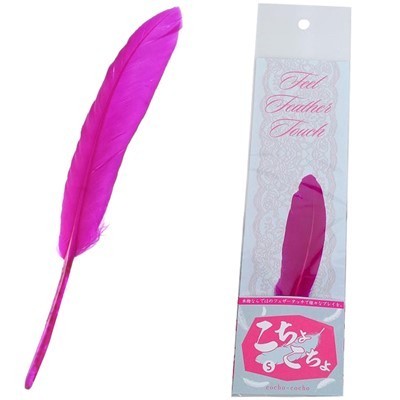 �����傱����@�i�r�j