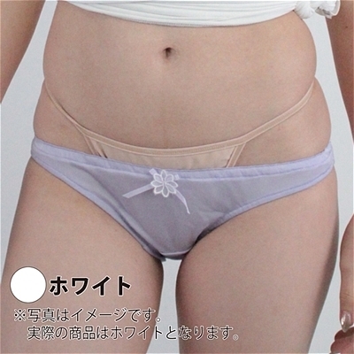 �ʋC���̗ǂ�����C���S���t���o�b�N�@�i�z���C�g�j