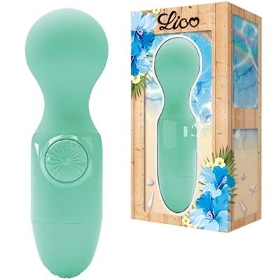 �k�������i���R�j�@�^�[�R�C�Y