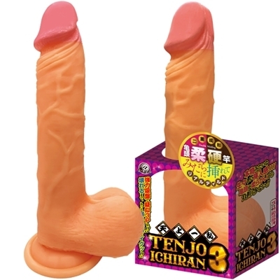 �V��ꗐ�@�i�R�j