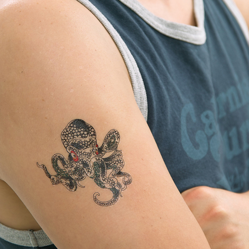 �^�g�D�[�V�[���@�^�R